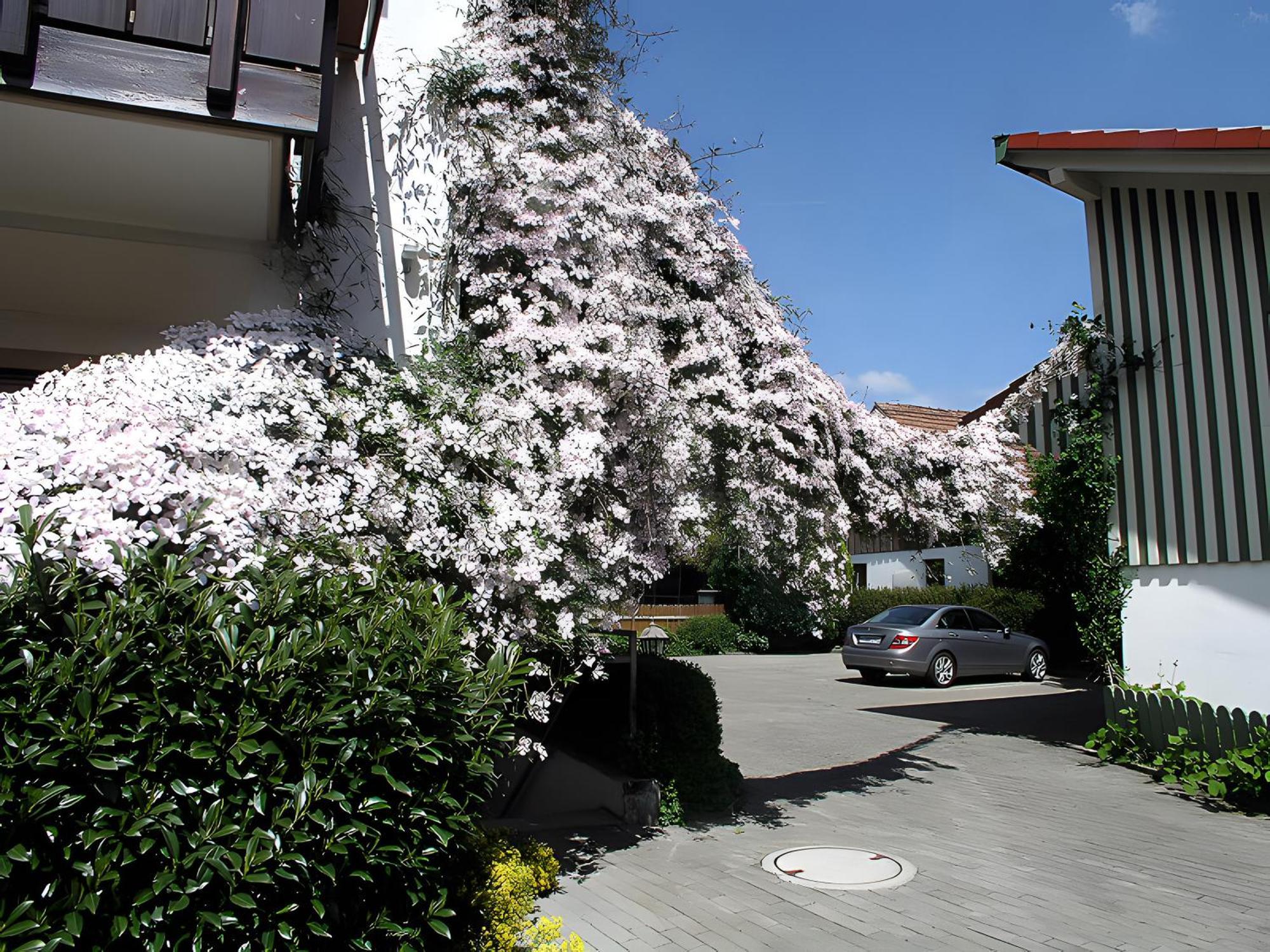 Gaestehaus Gutensohn Wasserburg Dış mekan fotoğraf